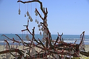 32 FESTIVAL CERVIA 2012 - 010